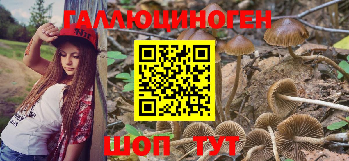 Псилоцибиновые грибы Psilocybine cubensis Мирный