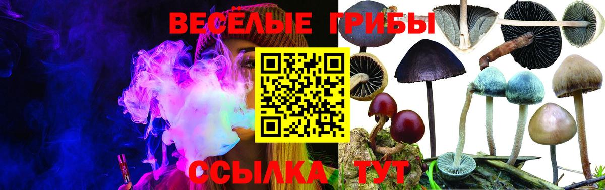 Мирный  Псилоцибиновые грибы ЛСД  Галлюциногенные грибы GOLDEN TEACHER  Вход с VPN 